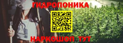 apvp Дубна
