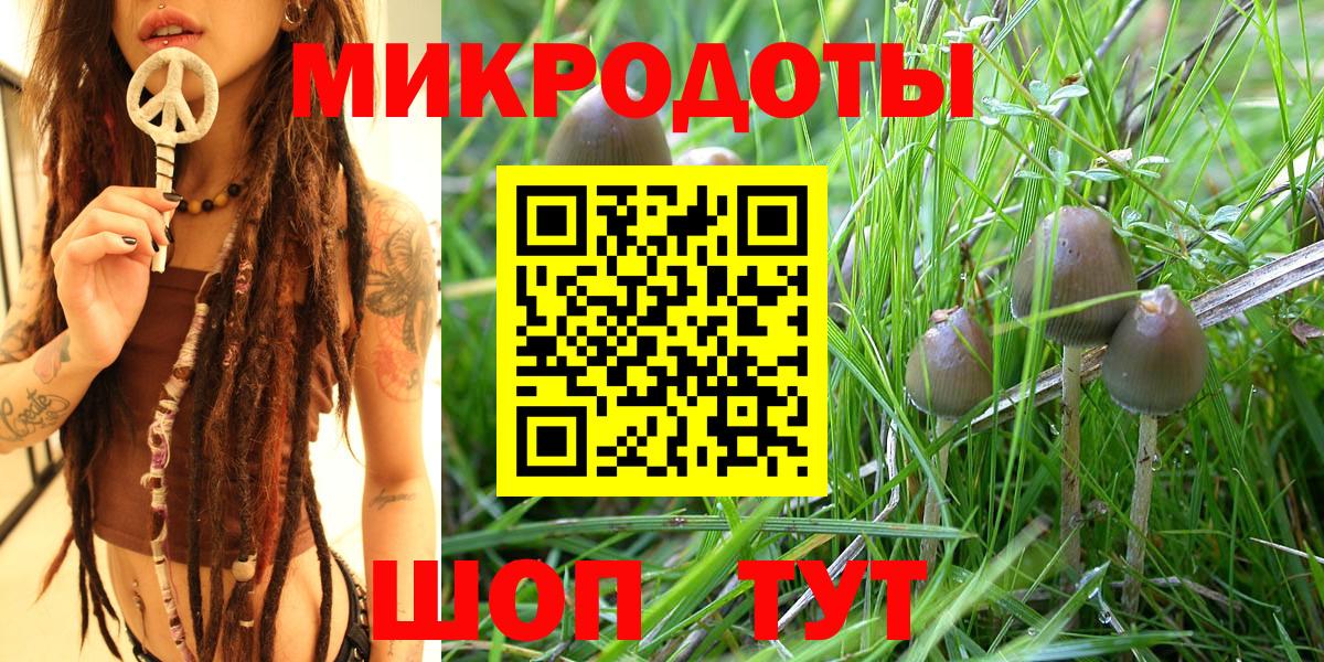 Лянтор  Псилоцибиновые грибы Psilocybine cubensis  Вход с VPN 